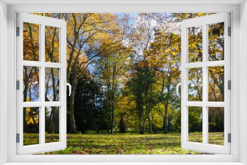Fototapeta Naklejka Na Ścianę Okno 3D - Colors of autumn
