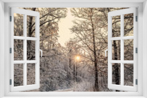 Fototapeta Naklejka Na Ścianę Okno 3D - Winter scene, road and trees in the snow on the sunset