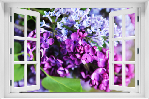 Fototapeta Naklejka Na Ścianę Okno 3D -  branch of lilac