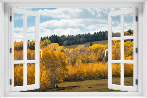 Fototapeta Naklejka Na Ścianę Okno 3D - Aspens in Fall, Utah, USA