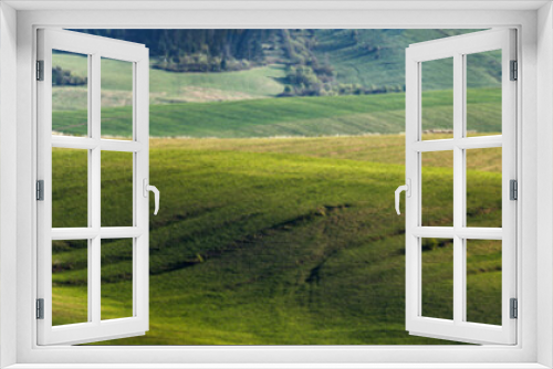 Fototapeta Naklejka Na Ścianę Okno 3D - Green spring hills in Slovakia. April sunny countryside panorama