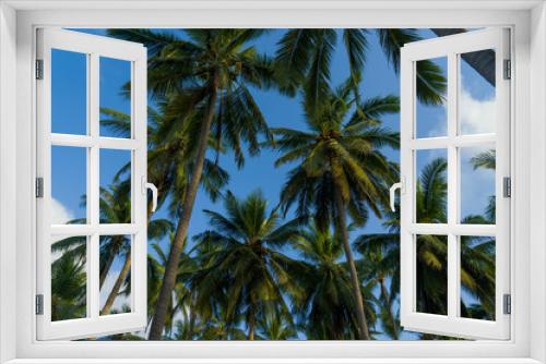 Fototapeta Naklejka Na Ścianę Okno 3D - Coconut trees against sky