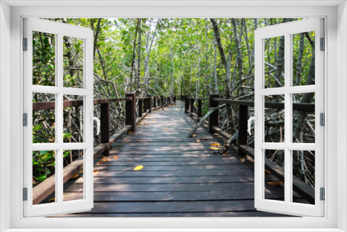 Fototapeta Naklejka Na Ścianę Okno 3D - Mangrove forest trail