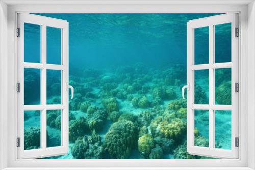 Fototapeta Naklejka Na Ścianę Okno 3D - Underwater landscape of a shallow ocean floor with blocks of lobe corals, Huahine island, Pacific ocean, French Polynesia