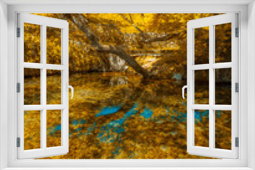 Fototapeta Naklejka Na Ścianę Okno 3D - autunm trees