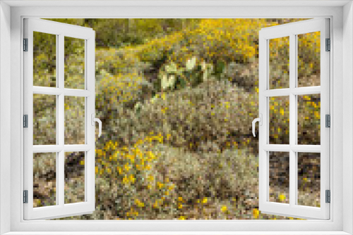 Fototapeta Naklejka Na Ścianę Okno 3D - Arizona Landscapes
