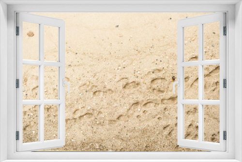 Fototapeta Naklejka Na Ścianę Okno 3D - Footprints in the sand