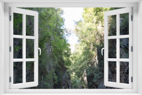 Fototapeta Naklejka Na Ścianę Okno 3D - Dschungel