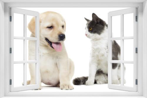 Fototapeta Naklejka Na Ścianę Okno 3D - cat and dog