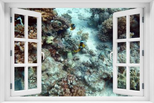 Fototapeta Naklejka Na Ścianę Okno 3D - Unterwasser