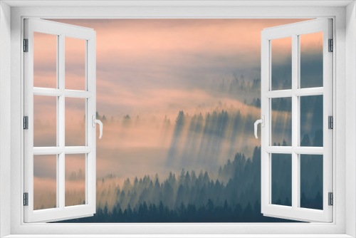 Fototapeta Naklejka Na Ścianę Okno 3D - Beautiful golden mist