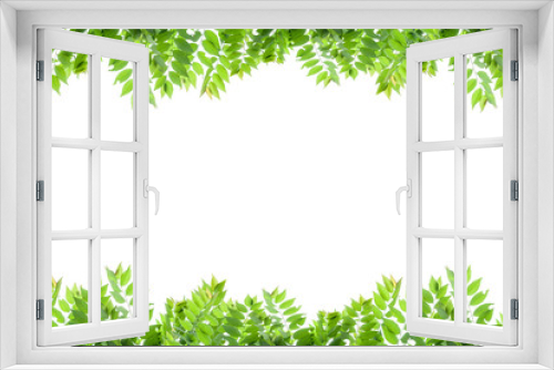 Fototapeta Naklejka Na Ścianę Okno 3D - fresh green leaves frame on white background.