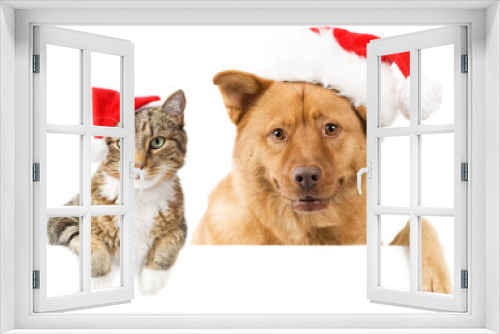 Fototapeta Naklejka Na Ścianę Okno 3D - Cat and Dog banner for the holidays