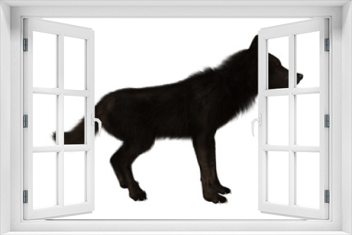 Fototapeta Naklejka Na Ścianę Okno 3D - Black Wolf on White
