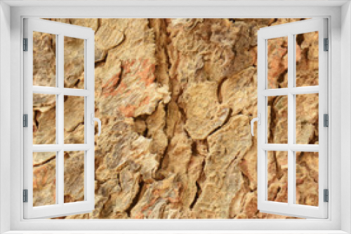 Fototapeta Naklejka Na Ścianę Okno 3D - Close Up of Tree bark texture