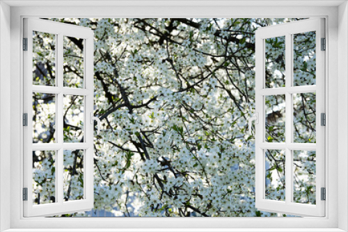 Fototapeta Naklejka Na Ścianę Okno 3D - La tela di fiori