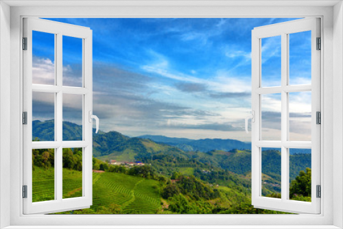 Fototapeta Naklejka Na Ścianę Okno 3D - Tea Plantation at Doi Mae Salong in Chiang Rai, Thailand