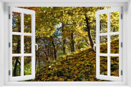 Fototapeta Naklejka Na Ścianę Okno 3D - Autumn city park.