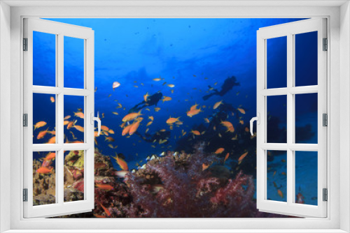Fototapeta Naklejka Na Ścianę Okno 3D - Scuba diving