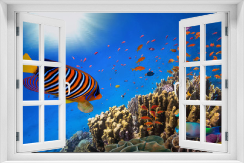 Fototapeta Naklejka Na Ścianę Okno 3D - Coral Reef and Tropical Fish in Sunlight