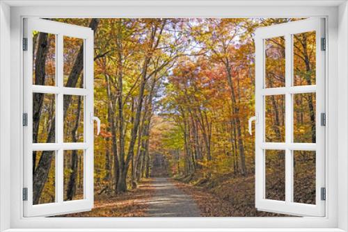 Fototapeta Naklejka Na Ścianę Okno 3D - Shaded Path in the Forest in Autumn