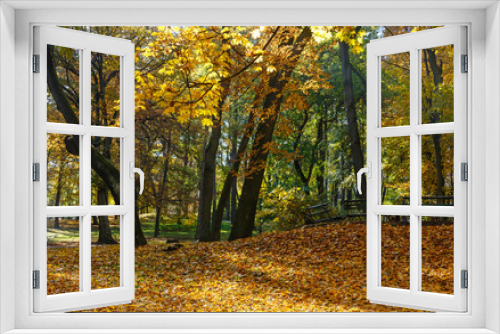 Fototapeta Naklejka Na Ścianę Okno 3D - Autumn city park.