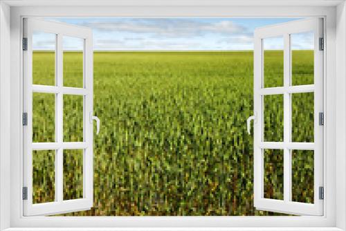 Fototapeta Naklejka Na Ścianę Okno 3D - Wheat field