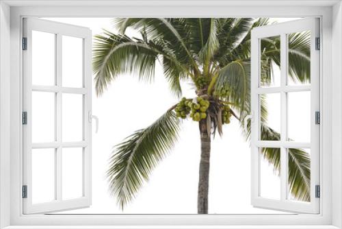 Fototapeta Naklejka Na Ścianę Okno 3D - Green coconut