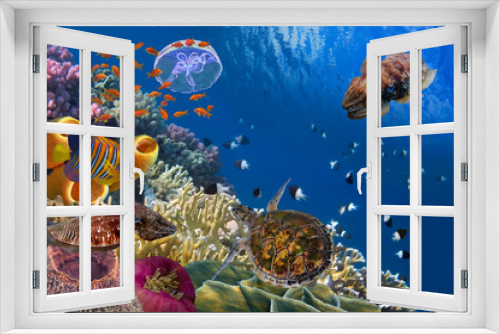 Fototapeta Naklejka Na Ścianę Okno 3D - Colorful coral reef with many fishes and sea turtle