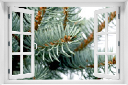 Fototapeta Naklejka Na Ścianę Okno 3D - Christmas background
