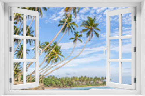 Fototapeta Naklejka Na Ścianę Okno 3D - Summer landscape with palm trees on the shore of the pacific ocean
