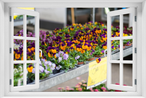 Fototapeta Naklejka Na Ścianę Okno 3D - Blumenständer