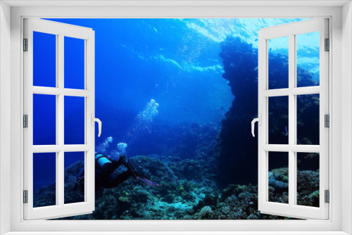 Fototapeta Naklejka Na Ścianę Okno 3D - divers underwater the sea