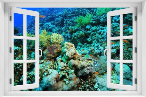 Fototapeta Naklejka Na Ścianę Okno 3D - small coral fish underwater