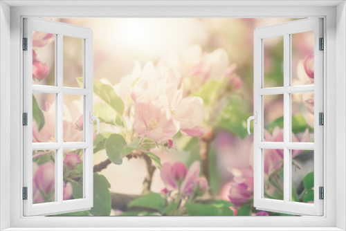 Fototapeta Naklejka Na Ścianę Okno 3D - Apple tree flower blossoming at spring time, floral sunny vintage natural background