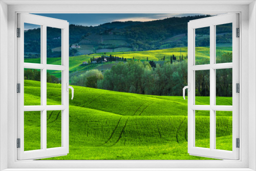 Fototapeta Naklejka Na Ścianę Okno 3D - Green awakening spring in Tuscany.