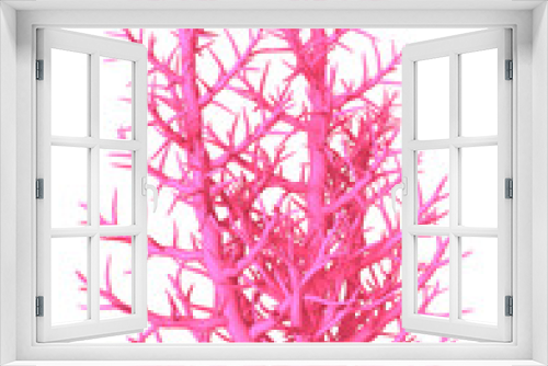 Fototapeta Naklejka Na Ścianę Okno 3D - 3D Illustration Pink Coral on White