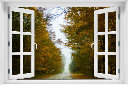 Fototapeta Naklejka Na Ścianę Okno 3D - the view down a scenic country roadway in autumn landscape