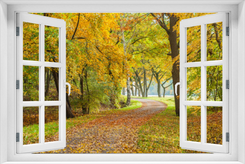 Fototapeta Naklejka Na Ścianę Okno 3D - Spaziergang im Herbst, buntes Herbstlaub auf gewundenem Weg, farbenfrohe Herbstlandschaft, Parklandschaft, Sonntagsspaziergang in der Natur, Entspannung, Erholung