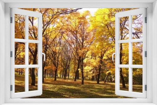 Fototapeta Naklejka Na Ścianę Okno 3D - autumn, fall background