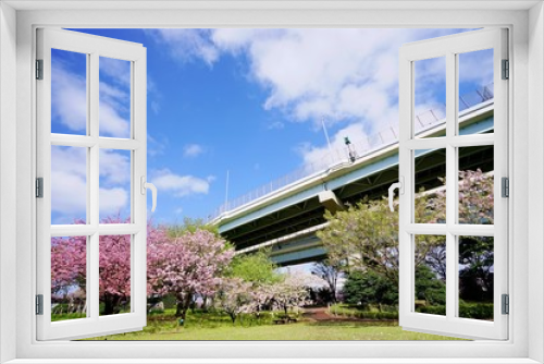 Fototapeta Naklejka Na Ścianę Okno 3D - 桜咲く公園