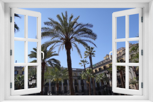 Fototapeta Naklejka Na Ścianę Okno 3D - palmier au centre de barcelone