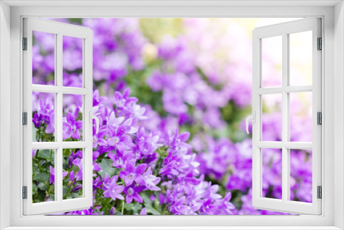 Fototapeta Naklejka Na Ścianę Okno 3D - Beautiful spring background with campanula bouquet.