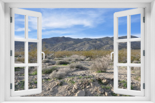 Fototapeta Naklejka Na Ścianę Okno 3D - California Desert