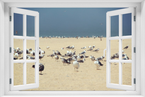 Fototapeta Naklejka Na Ścianę Okno 3D - birds on the beach