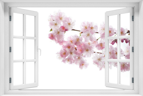 Fototapeta Naklejka Na Ścianę Okno 3D - Sakura - Frühling