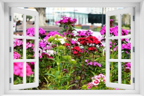 Fototapeta Naklejka Na Ścianę Okno 3D - Flowers in city park