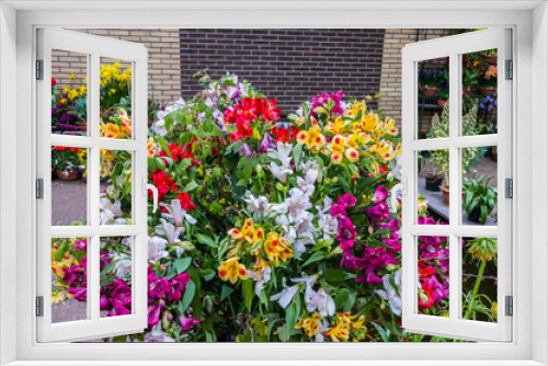 Fototapeta Naklejka Na Ścianę Okno 3D - Colorful tulips, Keukenhof Park, Lisse in Holland