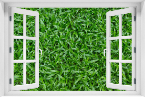 Fototapeta Naklejka Na Ścianę Okno 3D - green grass turf