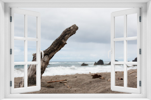 Fototapeta Naklejka Na Ścianę Okno 3D - Driftwood